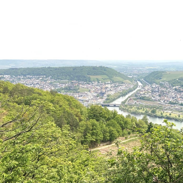 Bingen und der Rhein im Frühling (Foto: SWR, Damaris Diener)